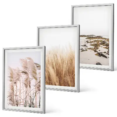 Set tablouri decorative cu câmpuri de iarbă de pampas și plajă boho