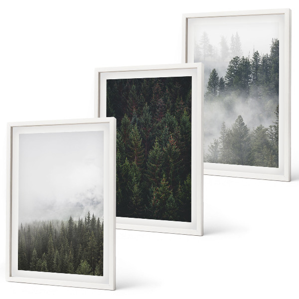 Set tablouri pentru dormitor Păduri verzi ceață natură