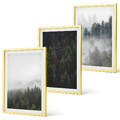 Set tablouri pentru dormitor Păduri verzi ceață natură