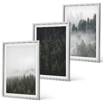 Set tablouri pentru dormitor Păduri verzi ceață natură