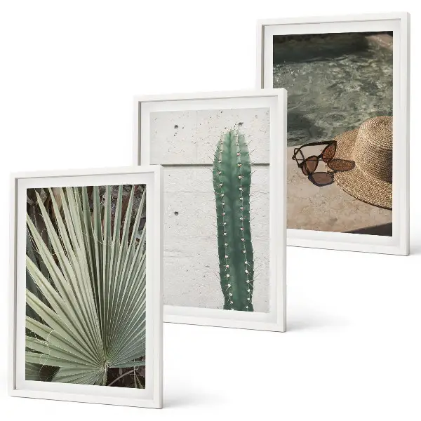 Set tablouri decorative cu tematică de accesorii pentru plante tropicale