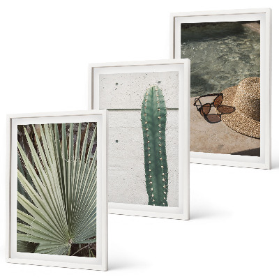 Set tablouri decorative Accesorii pentru plante tropicale