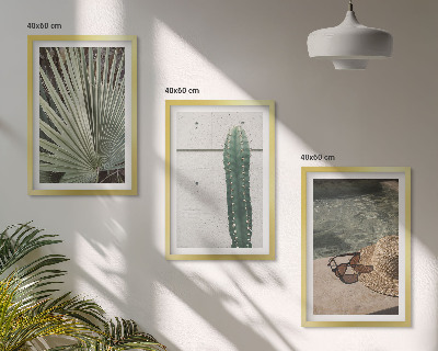 Set tablouri decorative Accesorii pentru plante tropicale
