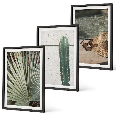 Set tablouri decorative Accesorii pentru plante tropicale