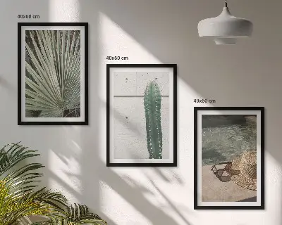 Set tablouri decorative cu tematică de accesorii pentru plante tropicale