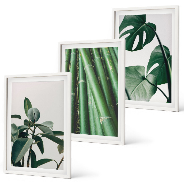 Set tablouri decorative Tulpini de bambus și frunze de monstera