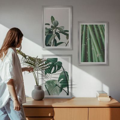 Set tablouri decorative Tulpini de bambus și frunze de monstera