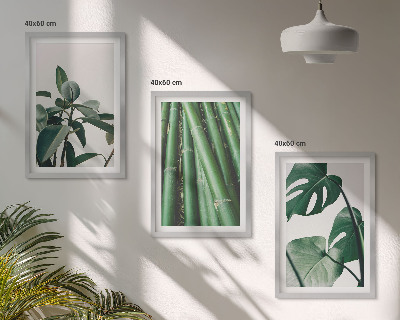 Set tablouri decorative Tulpini de bambus și frunze de monstera