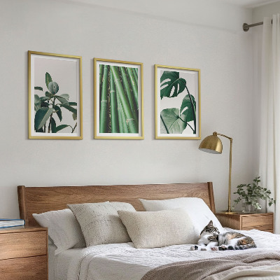 Set tablouri decorative Tulpini de bambus și frunze de monstera