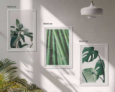 Set tablouri decorative Tulpini de bambus și frunze de monstera