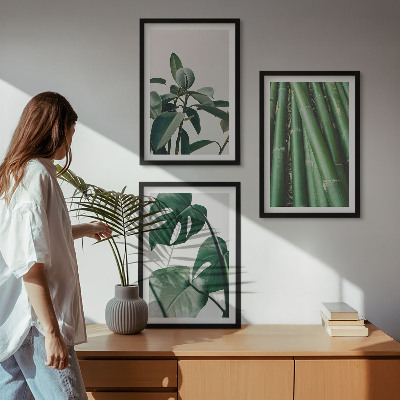 Set tablouri decorative Tulpini de bambus și frunze de monstera