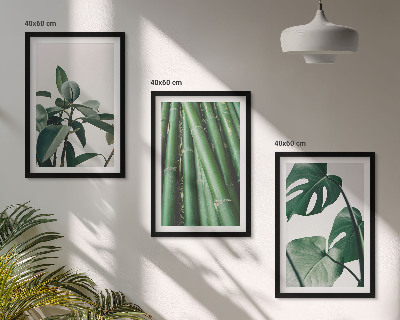 Set tablouri decorative Tulpini de bambus și frunze de monstera