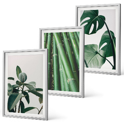 Set tablouri decorative Tulpini de bambus și frunze de monstera