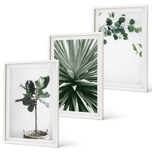 Set tablouri decorative Minimalismul plantelor verzi