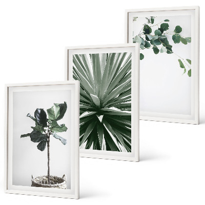 Set tablouri decorative Minimalismul plantelor verzi