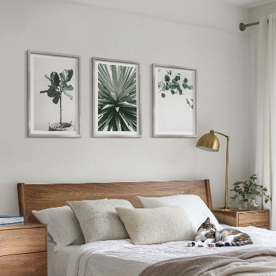 Set tablouri decorative Minimalismul plantelor verzi
