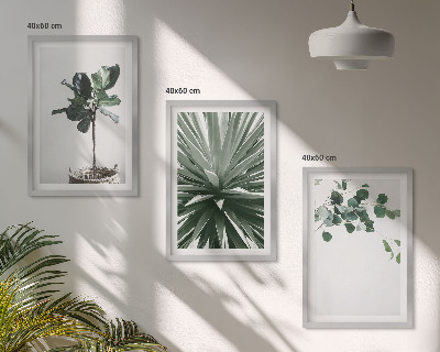Set tablouri decorative Minimalismul plantelor verzi