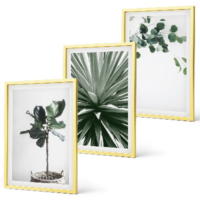 Set tablouri decorative Minimalismul plantelor verzi