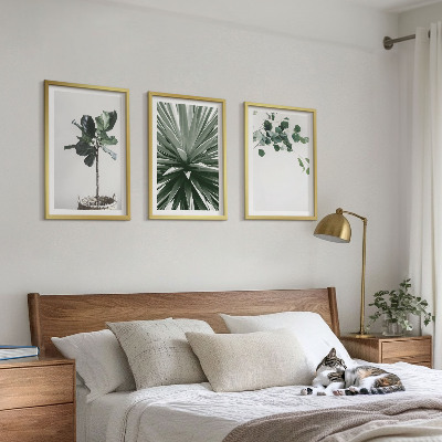 Set tablouri decorative Minimalismul plantelor verzi