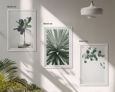 Set tablouri decorative Minimalismul plantelor verzi