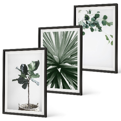 Set tablouri decorative Minimalismul plantelor verzi
