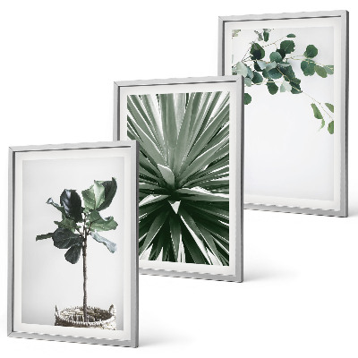 Set tablouri decorative Minimalismul plantelor verzi