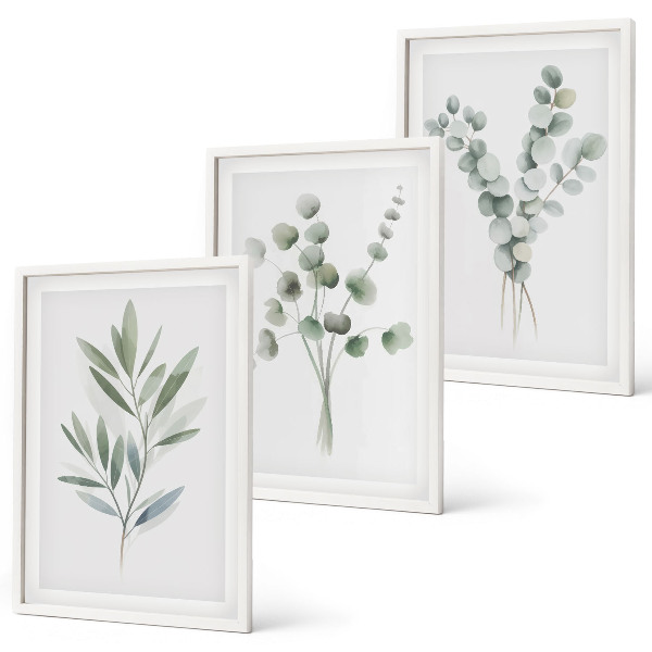 Set tablouri decorative Modele de plante cu verdeață