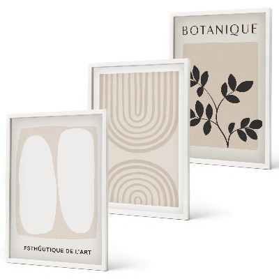 Set tablouri decorative Postere cu plante delicate în stil boho
