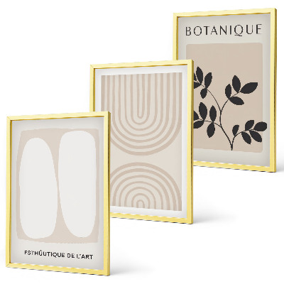 Set tablouri decorative Postere cu plante delicate în stil boho