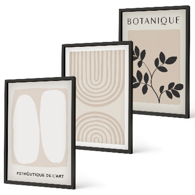 Set tablouri decorative Postere cu plante delicate în stil boho
