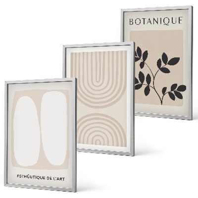 Set tablouri decorative Postere cu plante delicate în stil boho