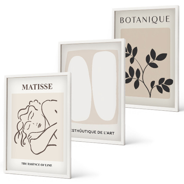 Set tablouri pentru dormitor Picturile elegante cu plante ale lui Matisse