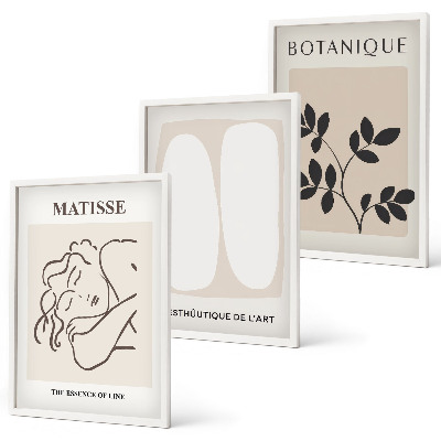 Set tablouri pentru dormitor Picturile elegante cu plante ale lui Matisse