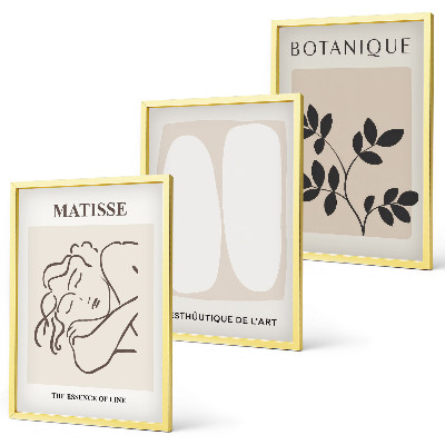 Set tablouri pentru dormitor Picturile elegante cu plante ale lui Matisse