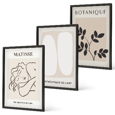 Set tablouri pentru dormitor Picturile elegante cu plante ale lui Matisse