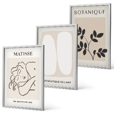 Set tablouri pentru dormitor Picturile elegante cu plante ale lui Matisse