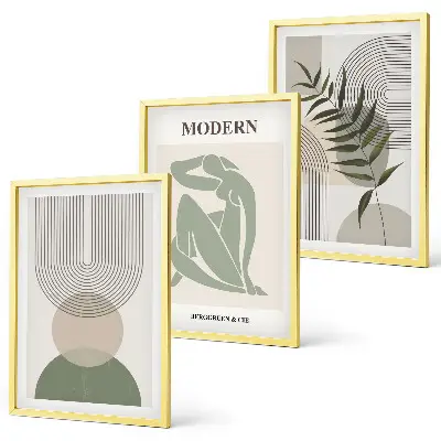 Set de tablouri decorative cu grafică elegantă reprezentând plante