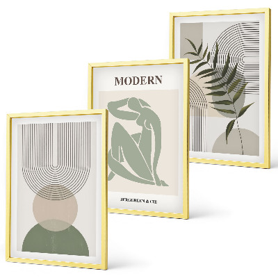 Set tablouri decorative Grafică elegantă a plantelor