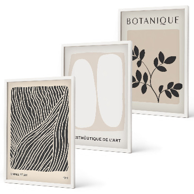 Set tablouri decorative Modele și linii de plante