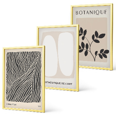 Set tablouri decorative Modele și linii de plante
