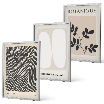 Set tablouri decorative Modele și linii de plante