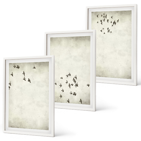 Set tablouri pentru dormitor Pictură minimalistă cu păsări