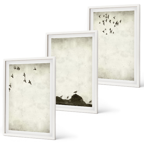 Set tablouri decorative Minimalismul păsărilor zburătoare