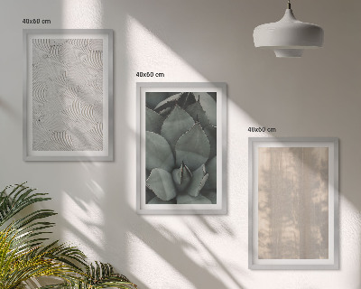 Set tablouri pentru dormitor Texturi tropicale de vară