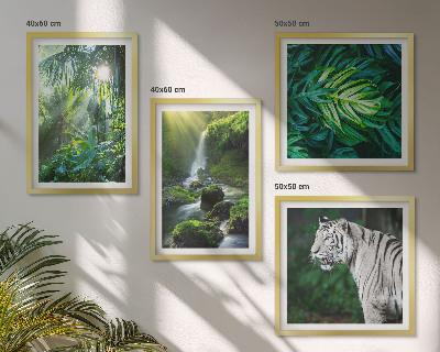 Set tablouri gata de agățat Cascada Tigrului Alb din Junglă