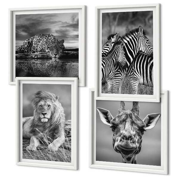 Compoziție de tablouri pentru perete Animale sălbatice Leu Jaguar Girafă Zebre
