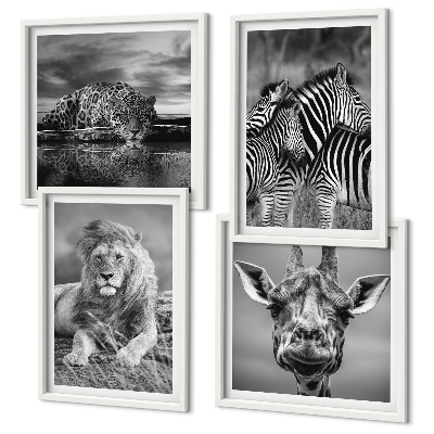 Compoziție de tablouri pentru perete Animale sălbatice Leu Jaguar Girafă Zebre
