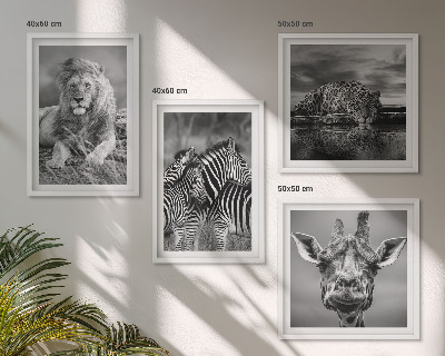 Compoziție de tablouri pentru perete Animale sălbatice Leu Jaguar Girafă Zebre