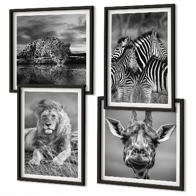 Compoziție de tablouri pentru perete Animale sălbatice Leu Jaguar Girafă Zebre