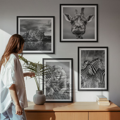 Compoziție de tablouri pentru perete Animale sălbatice Leu Jaguar Girafă Zebre